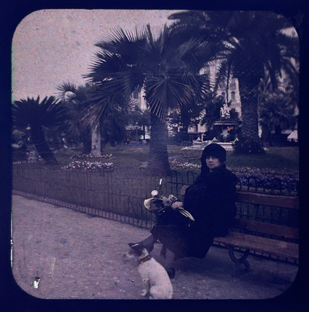 FRANCE French Riviera Nice Garden Woman Photo Stereo Autochrome Ca1910 Vintage
