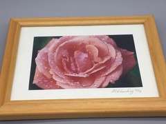 Pair of WALL ART Framed, Signed & Matted Floral Photographs B.A. Schmeding 6/99