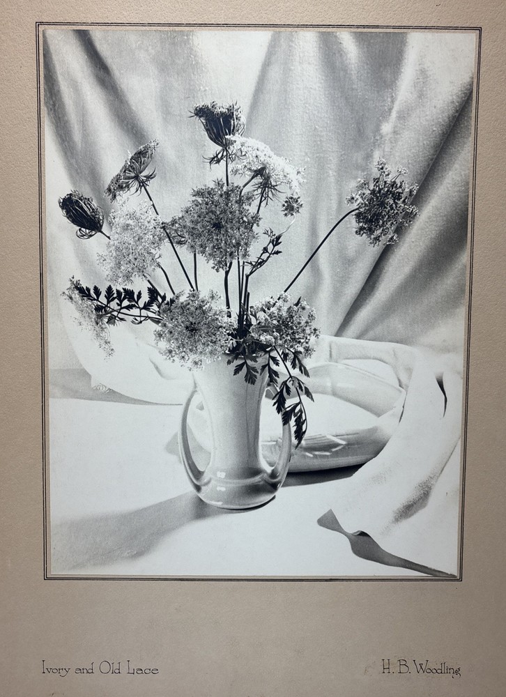 Vintage 1952 Original H.B Woodling «Ivory & Old Lace» Still Life Photograph