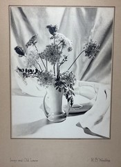 Vintage 1952 Original H.B Woodling «Ivory & Old Lace» Still Life Photograph