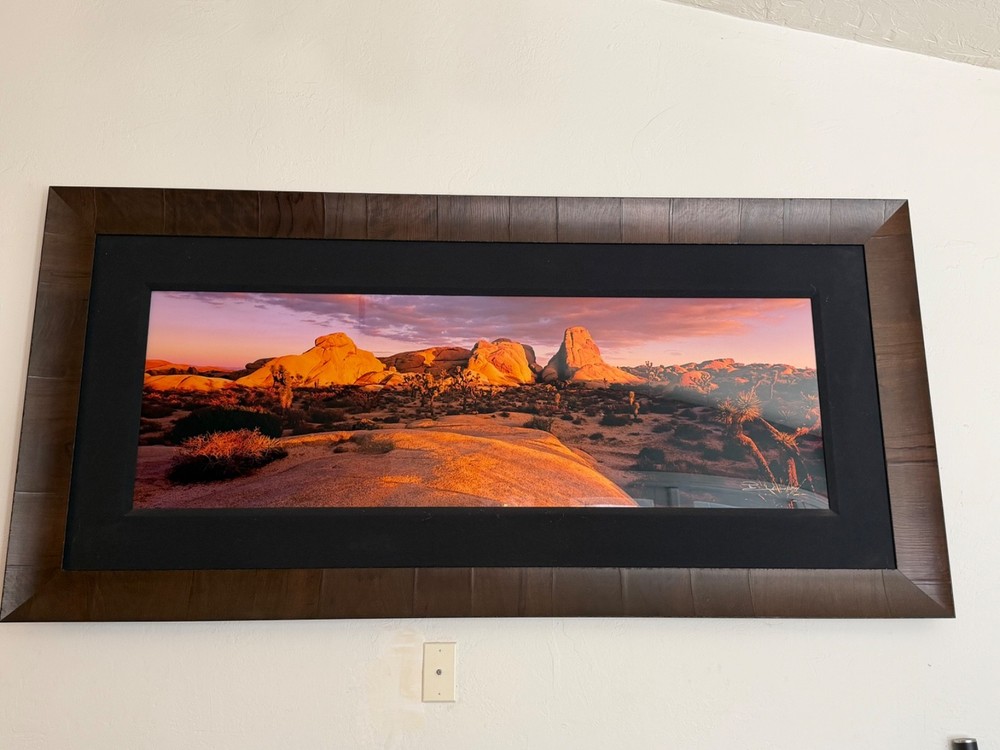 Desert Garden, 1.5 meter , Peter Lik art for sale, original owner,