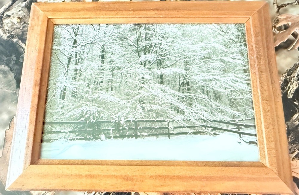 Original photograph, ‘Spiderweb of Snow’ by Serene Scenes in Maine, 5×7