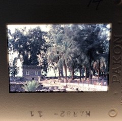 1982 Pakon Amateur 35mm Slide Lot Of 33 Greece Vacation Ruins Amazing ebr4