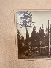 Superb Vintage Adirondack Photo House In The Pines