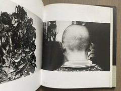 🎈RARE! +Bonus! Daido Moriyama: Stray Dog, 1999, SF Museum Of Modern Art