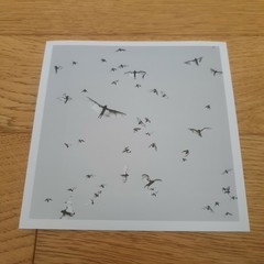 TRENT PARKE – SIGNED PHOTO – MAGNUM SQUARE PRINT LIMITED EDITION