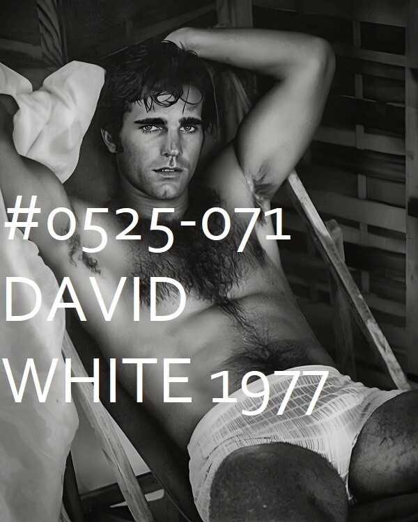 VINTAGE MALE PORTRAIT #0525-071 -david white 1977 -free shipping in usa