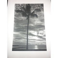 Vintage G. Mestek Signed Photo Art Print Palm Tree Sunset Silhouette Gallery