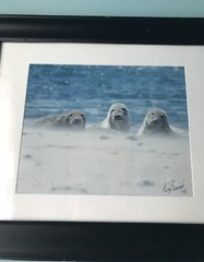 Original GREG LESSARD FRAMED Photograph «THE THREE AMIGAS» 17″ x 14″ Signed