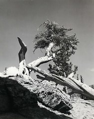 Carl Brandauer Photograph Black and White Landscape 1971 Boulder Colorado