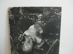 Vtg 1965 DAVID S. JOHNSON WATTS RIOTS PHOTOGRAPH AFRICAN AMERICAN LISTED ARTIST