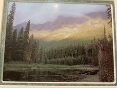 JAMES THOMSON SIGNED PRINT PHOTO MOOSE MARSH MONTANA Glacier National Park