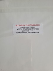 Photography Print By John T Slonina Matted 8×10 Lupine Flowers And Birch Trees