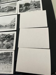 Vintage Black and White 2 1/2” x 3 1/2” – Lot of 15