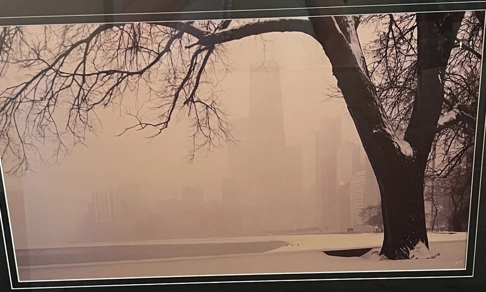 Signed Framed 30×20 Photograph Of Downtown Chicago Winter Gary Steinke