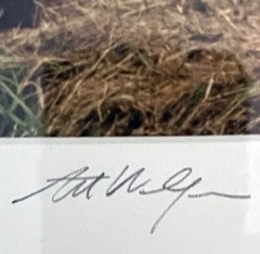 Art Wolfe Signed Wildlife Photograph Print/Framed 8×10 Bears