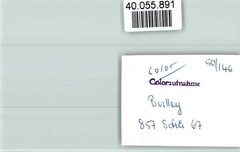 40055891 – 5584 Bullay Local View