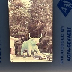 Lot Of 40 1970’s Agfachrome San Francisco California Vacation 35mm Color Slides