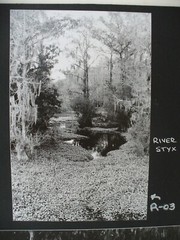 MATTED PHOTOGRAPHY Collage of Florida Photos by Larry Santucci 15×11.5 B&W