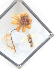 Vintage Beveled Pressed Flower Glass Leaded Lead Small Wall Art Moth Butterfly