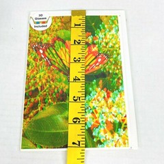 Monarch Butterfly 3-D 3D Nature Photograph Art Phantom Image Barry Rothstein New