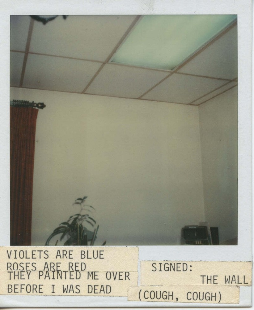 [Violets Are Blue]Polaroid Photograph with Poem