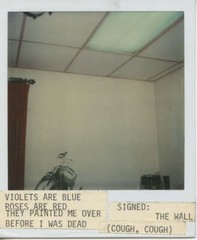 [Violets Are Blue]Polaroid Photograph with Poem