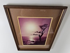 ART – VTG Original Signed Karl Bonfert 35mm Photograph CA 21.25×17.25 Framed Art