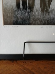Laurent Baheux «Body Guards»Framed Limited Edition Art Photograph | YellowKorner