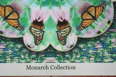 Monarch Collection Butterfly Collage Photo signed & numbered Print 9 1/2″x13″