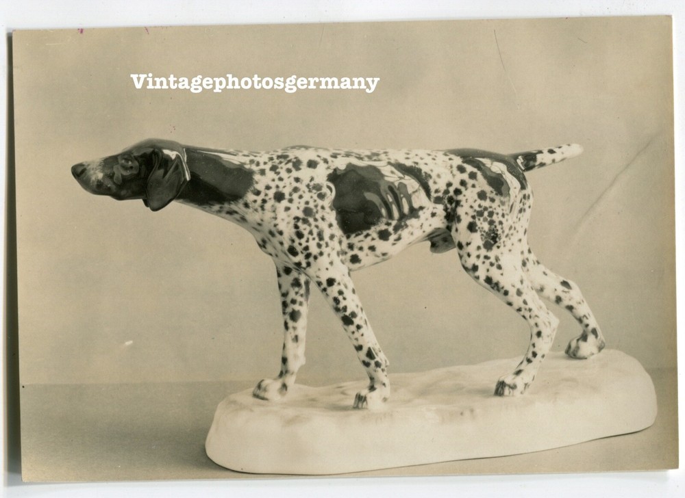 K4278 Foto ca 1930 Rosenthal – Porzellan Figur Vorstehhund Otto Eichenwald