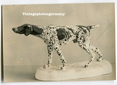 K4278 Foto ca 1930 Rosenthal – Porzellan Figur Vorstehhund Otto Eichenwald