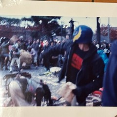 Janine Gordon Photograph 60″x72″ C-print Edition Grid Bike Kill Signed Fine Art