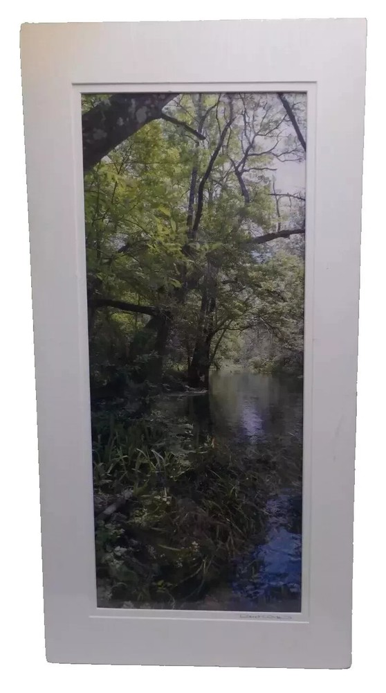 Sighed original photography by Robert «Spring Ichetucknee river»
