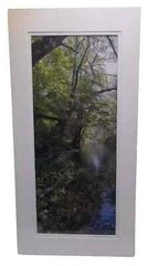Sighed original photography by Robert «Spring Ichetucknee river»