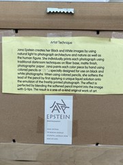 Jana Epstein Signed and Numbered Photo Art Framed – Sittin Pretty
