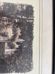 Alan Blaustein Signed – “Orto Botanico, Siena, Italia”