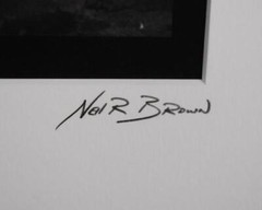 FAB NEIL R. BROWN SIGNED LMTD ED 14/275 BLACK WHITE PHOTO TITLED HIDDEN TREASURE