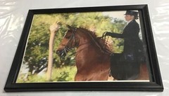 Cheri Prill Horse and Rider Framed Photography 11.5″ x 9″