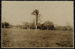 Rio-Brazil-Southeast-Cruiser Emden-Journey-Navy-5