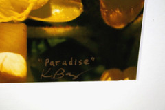 Bee and Bird of Paradise Photo 8″ x 10″ in 11″ x 14″ Matte Signed by Kim Barry