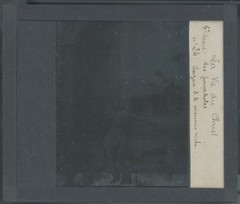 Lazare, Bad Rich, Photo Glass Plate, Black & White, Positive 8.5×10 Cm