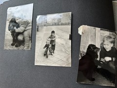 Old Photo Album Civilian with Flaws, Life in the GDR, /105