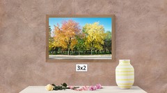 Fall Trees 1, High Resolution Image, Many Formats, TV Art