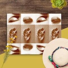 Shell Collage Canvas