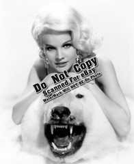 Carroll Baker (Vintage Hollywood Actress 8×10 Photos) Color/B&W Many to Choose