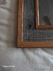 Tim DePuydt Framed Moose Photo Print 18×31 Rustic Montana Cabin Wildlife Art VTG