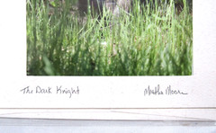 Lot Of 2 Martha Moore Original Signed Art Photography Postcard Envelope