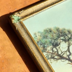 FREDERICK W. MARTIN Hand-Tinted Hand-Color Photo Torrey Pines 8.75″ x 4.75″ VGC