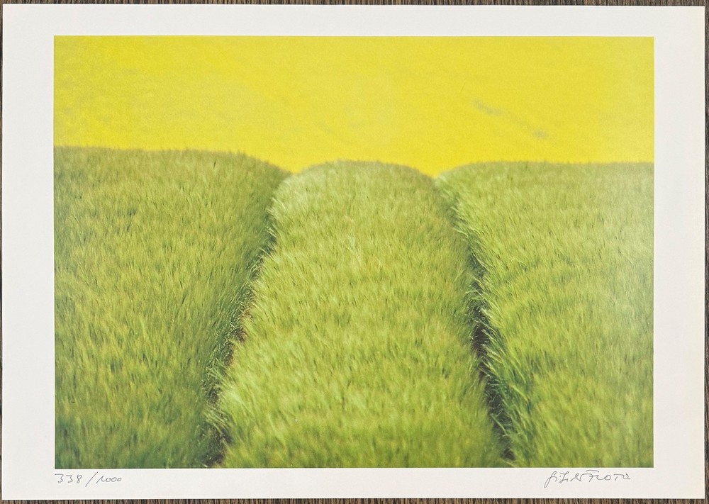 Gisela photo, barley penis, photograph, 1992, autographed and numbered